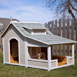 图标图片“Outdoor Dog House”
