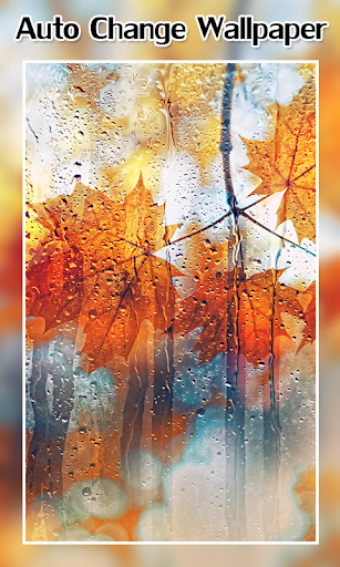 Auto Change Wallpaper By App Basic Google Play Japan Searchman App Data Information