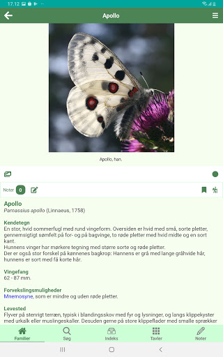 NEDS - Nordeuropas Dagsommerfu