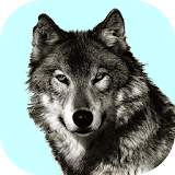 Wolf Sounds Free icon