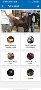 Central Institute for Research on Goat (ICAR-CIRG) 1.1 APK + Mod (Unlimited money) untuk android
