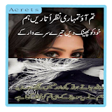 Urdu Poetry Collections icon