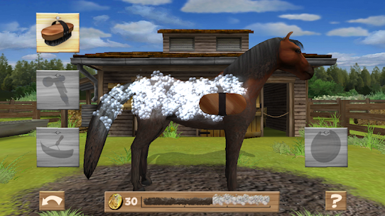 Pony Trails For PC installation