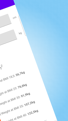 Quick BMI Calculator Screen 2