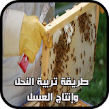 طريقة تربية النحل وإنتاج العسل 2019 icon