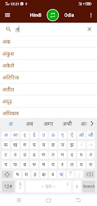 Hindi To Mizo Dictionary