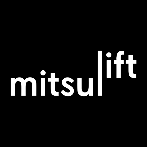 Mitsulift Team logo