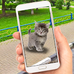Cover Image of Download Collect Pocket Cats  APK