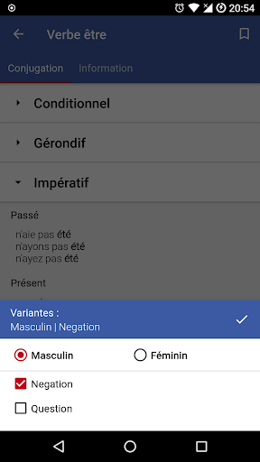 Conjugation French Verb