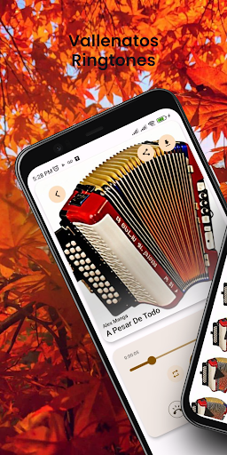 Aperçu de l'application