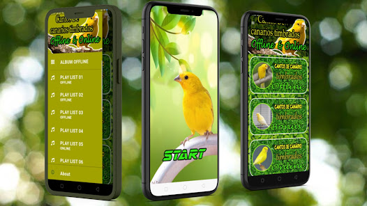 Captura de Pantalla 2 Cantos de canarios timbrados android