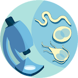 Enteropara-site icon
