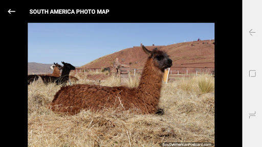 Logo https://play-lh.googleusercontent.com/ZcoT08Qets_bHe_5Gc5WECyleZKTeu-knm51jL9lknec6KWp9Fc06c6QzalGHud3oA