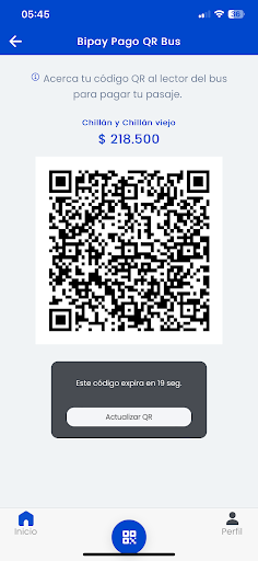 Bipay Chile Screen 3