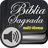 Holy Bible in Audio icon