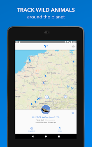 Animal Tracker - Apps on Google Play