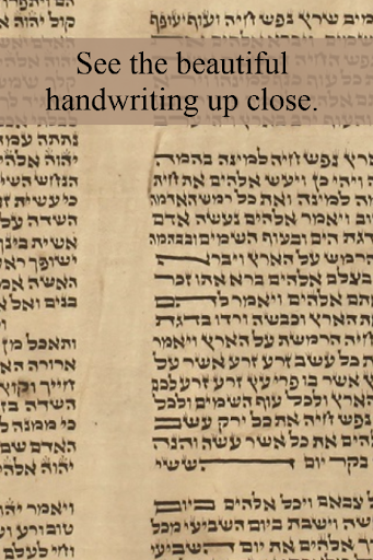 The Lodz Scroll Screen 2