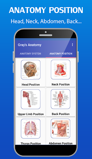 Grays Atlas of Anatomy Pro Screen 2