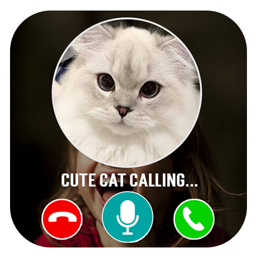 Cat fake video call prank logo