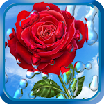 Cover Image of Download Summer Rain, Flowers, HD LWP  APK