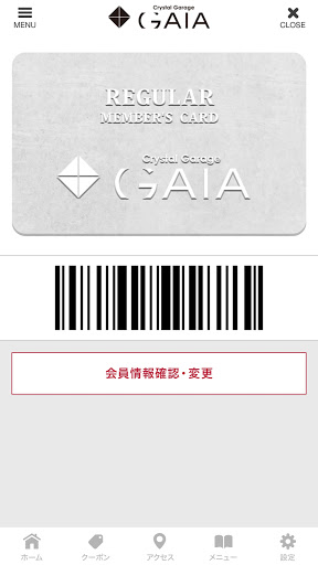 Crystal Garage GAIA Screen 3