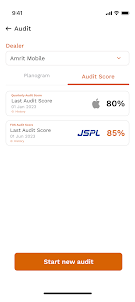 JSPL Auditor