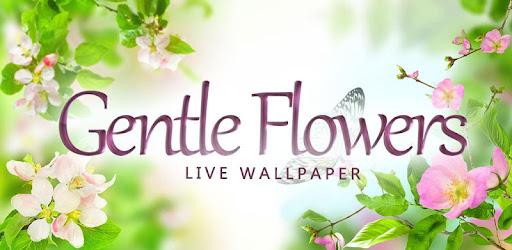Gentle Flowers Live Wallpaper Apps On Google Play