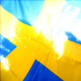 Sweden National Day Wallpapers icon