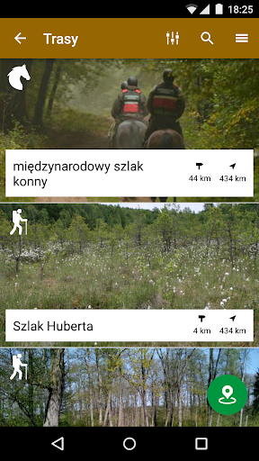 Puszcza Gorzowska Screen 3