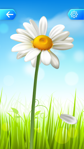 Relax and Antistress Brain Games