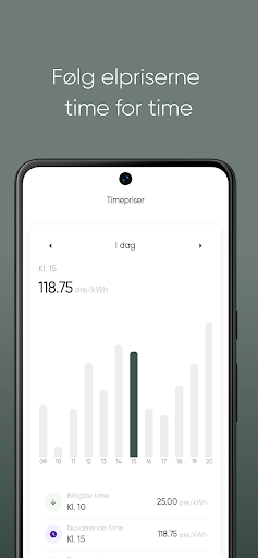 Dansk Energiforsyning