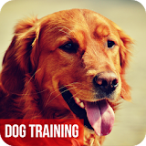 Dog Training Tips icon