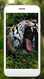 Jungle Tiger Live Wallpaper