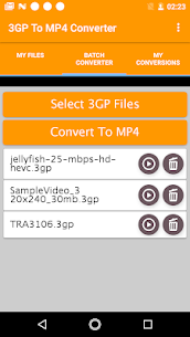 3gp To Mp4 Converter Download For Pc (Install On Windows 7, 8, 10 And  Mac) 2