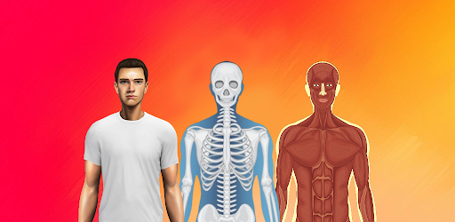 Body Scanner - Xray Scanner Screen 3