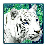 Wild Animals Live Wallpaper icon