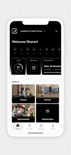 Academy of Aerial Fitness