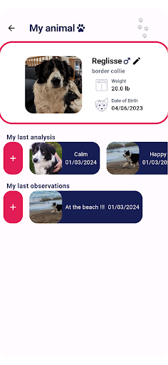 NeoVoice Screen 2