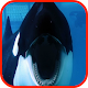 Killer Whale Wallpaper HD Download on Windows