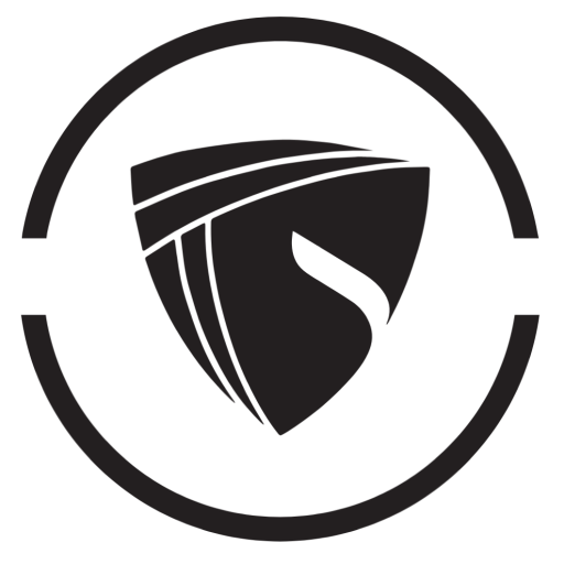 Dynasty Jiu Jitsu logo