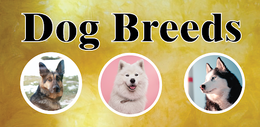 Dog Breeds | Dog Quiz App