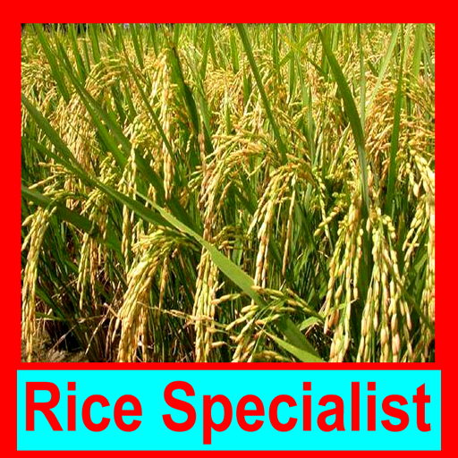 ধান বিশেষজ্ঞ ~ Rice Specialist  Icon