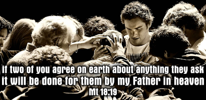 Imagen de la captura de pantalla