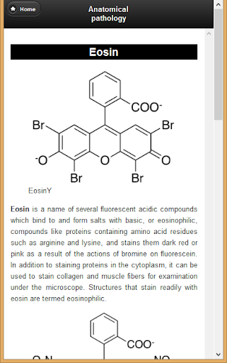 Basic Anatomical Pathology