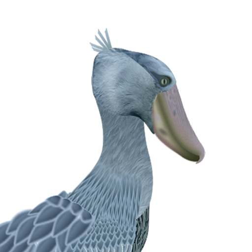 Shoebill logo
