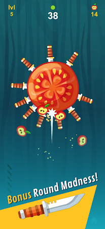 Game screenshot Knife Rain hack