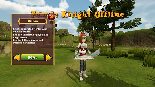 Female Knight 3D