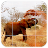 Tile Puzzles · Africa icon