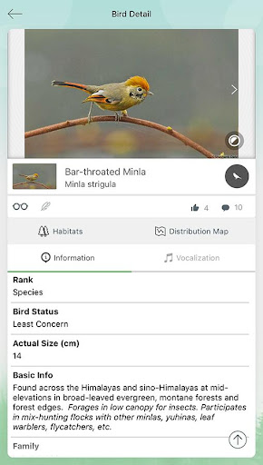 Android application Vannya-Your Digital Bird Guide screenshort