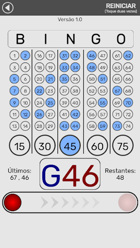 Libre Bingo Screen 2